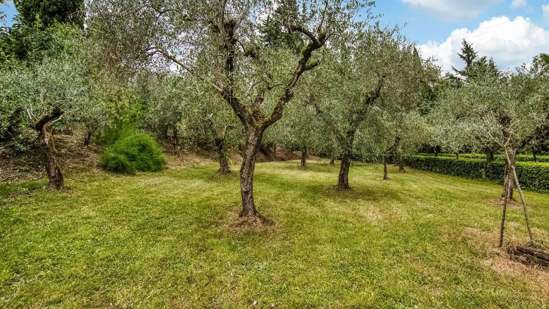 Il Loggiato Villa Monte San Savino 0*,